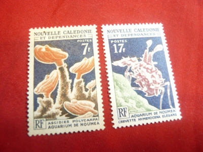 2Timbre- Acvariul din Noumea 1964 -Noua Caledonie colonie franceza (teritoriu),s foto