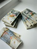 V&acirc;nd 900 de bancote de 20 de lei
