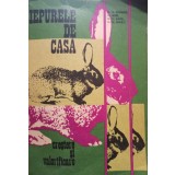 Al. Georgeoni - Iepurele de casa, ed. a IV-a (Editia: 1984)