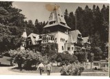 CPIB 18232 CARTE POSTALA - SINAIA. PELISORUL