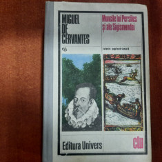 Muncile lui Persiles si ale Sigismundei de Miguel de Cervantes