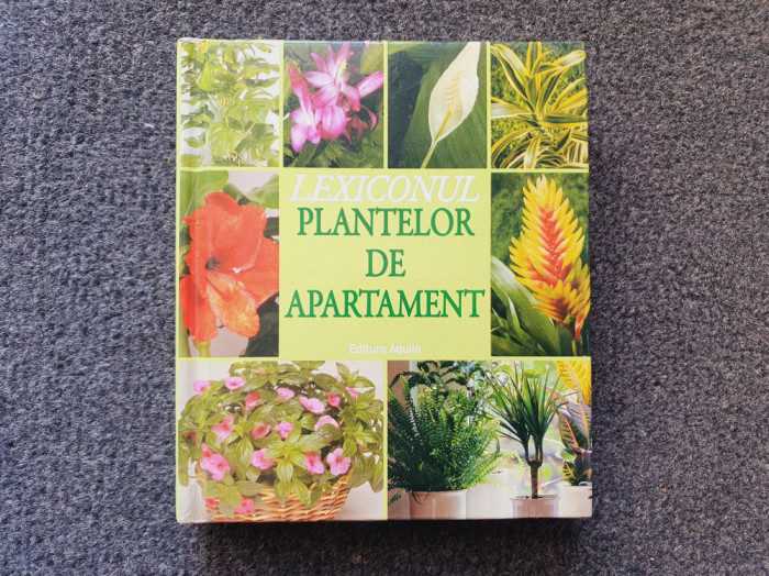 LEXICONUL PLANTELOR DE APARTAMENT