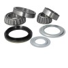 Set rulment skf Mercedes sprinter vw lt