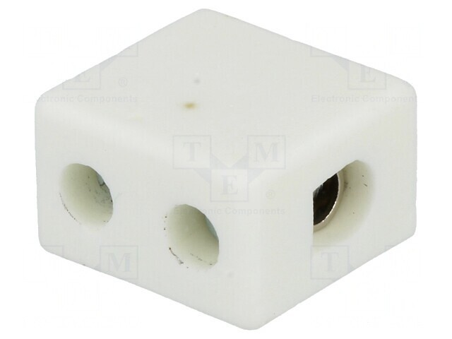 Regletă de conexiuni terminal cu şurub 10mm2 450V 57A