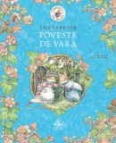 Desisul de Muri. Poveste de vara - Editura Cartea copiilor