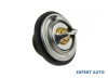 Termostat Audi A8 (1994-2002) [4D, d2] #1, Array