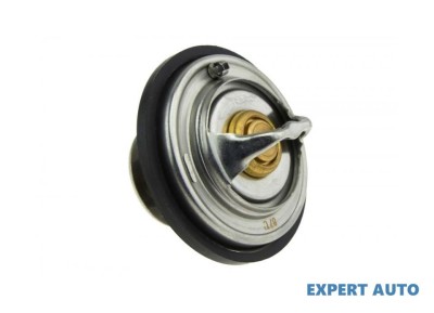 Termostat Audi A6 (1997-2001) [4B, C5] #1 foto