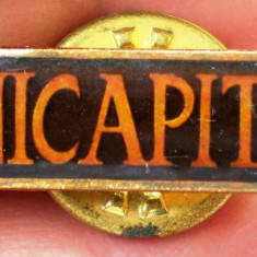 I.146 ROMANIA INSIGNA PIN UNICAPITAL L27mm MARO V2