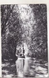 bnk cp Canal in Delta Dunarii - Vedere - uzata