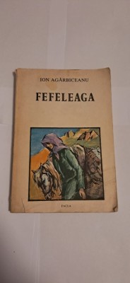 Ion agarbiceanu-fefeleaga foto