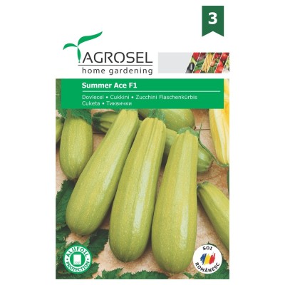 Seminte legume Agrosel, dovlecel Summer Ace F1 foto