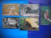 HOPCT LOT NR 369 PASARI DIN DELTA DUNARII -TULCEA-5 CARTI POSTALE-NECIRCULATE