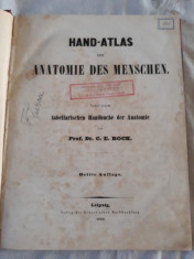 C.E. BOCK - HAND-ATLAS DER ANATOMIE DES MENSCHEN. 1850 foto