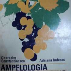 AMPELOLOGIA SOIURILOR APIRENE- GHERASIM CONSTANTINESCU SI ADRIANA INDREAS, BUC. 1976