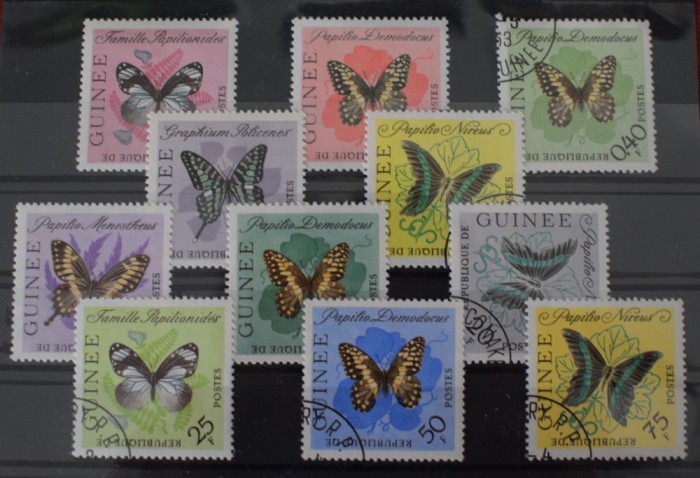 TS24/01 Timbre Guinee - Fluturi