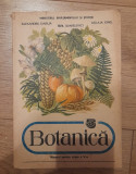 Botanica &ndash; manual pentru clasa a V-a - Alexandru Dabija 1992