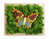 Tablou Licheni Stabilizati EVENTISSIMI - , Fluturas, , Multicolor, 18,5X22,5 CM, Eventissimi&reg;