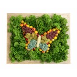 Tablou Licheni Stabilizati EVENTISSIMI - , Fluturas, , Multicolor, 18,5X22,5 CM