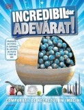 Incredibil dar adevarat! Comparatii de necrezut, in imagini - Litera