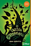Cumpara ieftin O oglindă grimminală - Adam Gidwitz