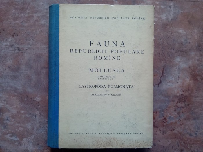 FAUNA REPUBLICII POPULARE ROMANE , MOLLUSCA , VOLUMUL III , FASCICULA 1 , GASTROPODA PULMONATA de ALEXANDRU V. GROSSU 1955