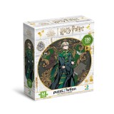 Puzzle Harry Potter - Draco Malfoy (250 piese) PlayLearn Toys, Dodo