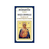 Minunile icoanei Maica Domnului - Paperback brosat - *** - Sophia