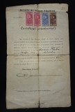 Certificat provizoriu Școala de notari Făgăraș, 1929