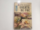 Gheata de foc de Victor Birladeanu