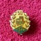 Insigna - AUTO Transport - 50 de ani