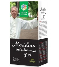 Tinctura Meridian Intestin Gros Santo Raphael 100ml