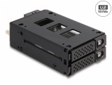 Rack mobil metalic 2 x 2.5&quot; U.2 NVMe SSD, Delock 47019