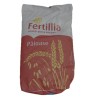 Seminte grau Genesi 30 kg, Rodbun