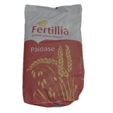 Seminte grau Genesi 30 kg, Rodbun