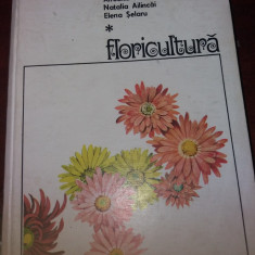 FLORICULTURA - SUB REDACTIA PROF.DR.DOC. V. SONEA