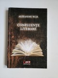 Alexandru Ruja, Confluente Literare, Timisoara, David Press Print, 2020