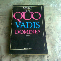 QUO VADIS DOMINE? - MIHAI SIN