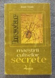 Ioan Eşan - Maeştrii culiselor secrete: file din istoria spionajului