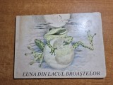 carte cartonata pentru copii - luna din lacul broastelor - din anul 1984