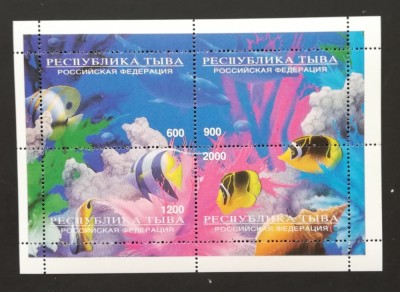 TUVA-FAUNA MARINA-1 M/Sh**TR 21 foto