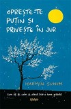 Oprește-te puțin și privește &icirc;n jur - Haemin Sunim