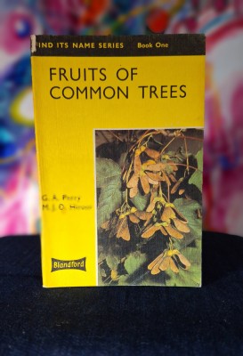 Carte - Fruits of Common Trees - G.A.Perry, M.J.D. Hirons (in limba engleza) foto