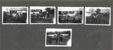 A4143N S&acirc;mbăta, județul Făgăraș, 1935, lot de 5 fotografii cu cai