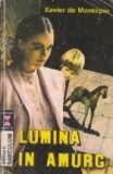 Lumina in amurg