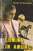 Lumina in amurg foto