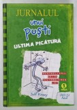 JURNALUL UNUI PUSTI , ULTIMA PICATURA , 2011 *EDITIE CARTONATA