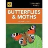 Butterflies and Moths