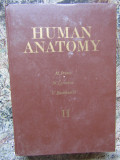 Human Anatomy VOL II - M. Prives, N. Lysenkov, V. Bushkovich