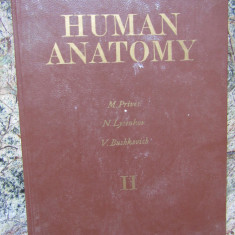 Human Anatomy VOL II - M. Prives, N. Lysenkov, V. Bushkovich