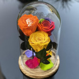 Cumpara ieftin 3 trandafiri (portocaliu, multicolor, galben) &Oslash;6,5cm (17x28cm)
